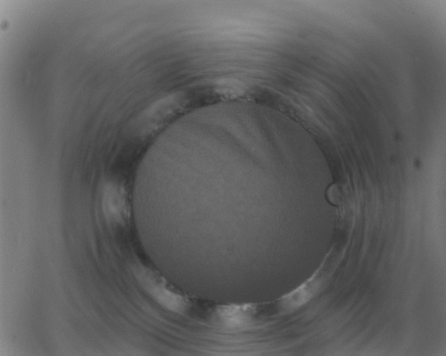 X0000062830136200601201622