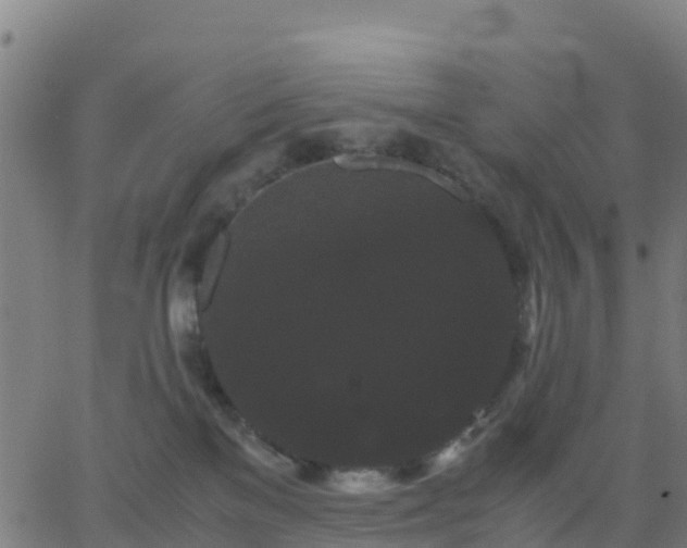 X0000062830137200601201622