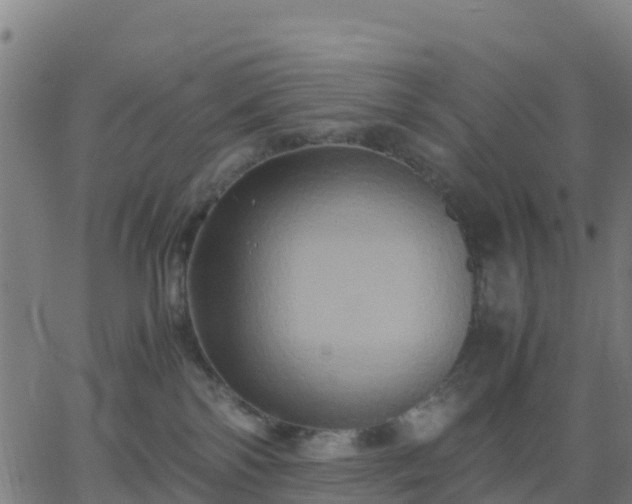 X0000062830138200601201622