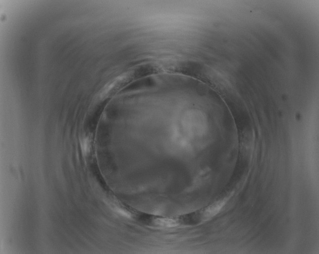 X0000062830139200601201622