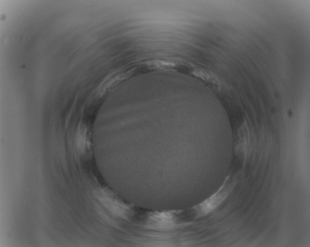 X0000062830140200601201622