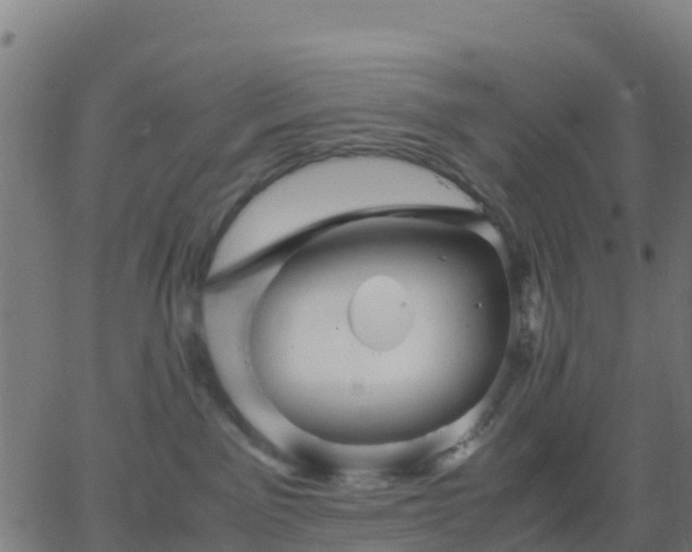 X0000062830141200601201622