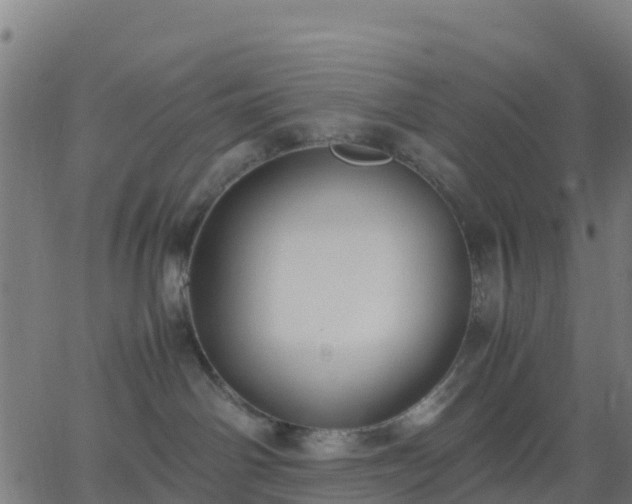 X0000062830142200601201622