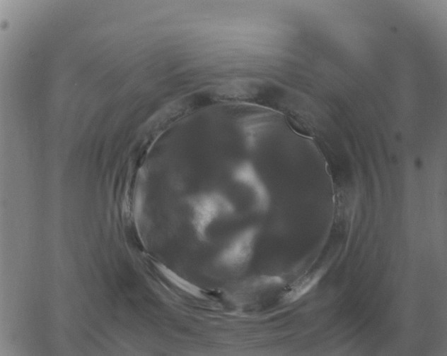 X0000062830143200601201622