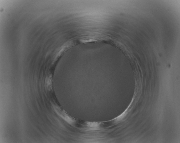 X0000062830144200601201622