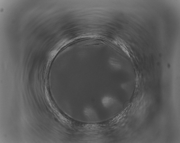 X0000062830145200601201621