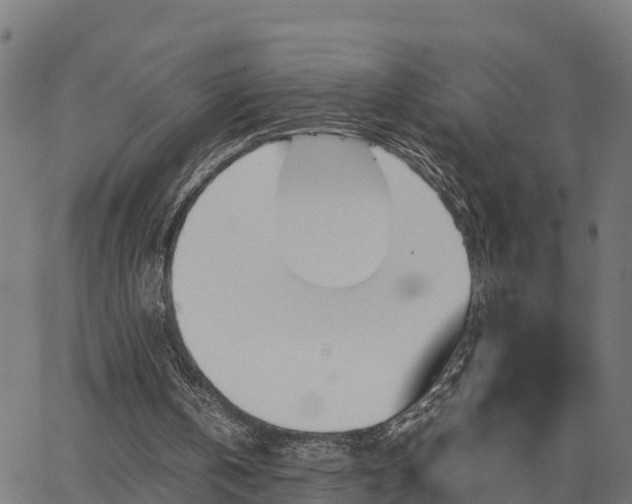 X0000062830146200601201621