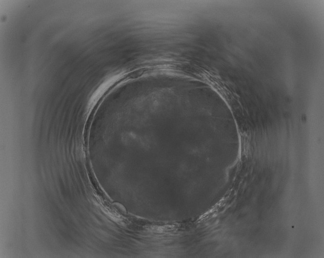 X0000062830147200601201621