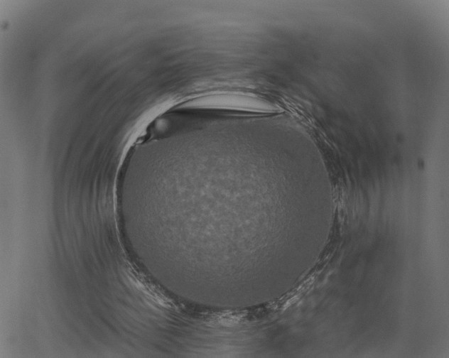 X0000062830148200601201621