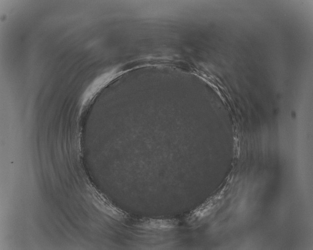 X0000062830149200601201621