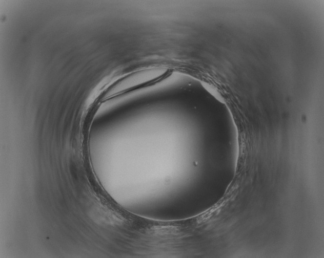 X0000062830150200601201621