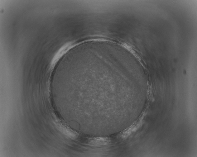 X0000062830151200601201621