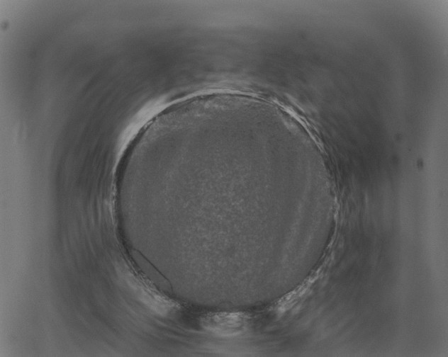 X0000062830152200601201621