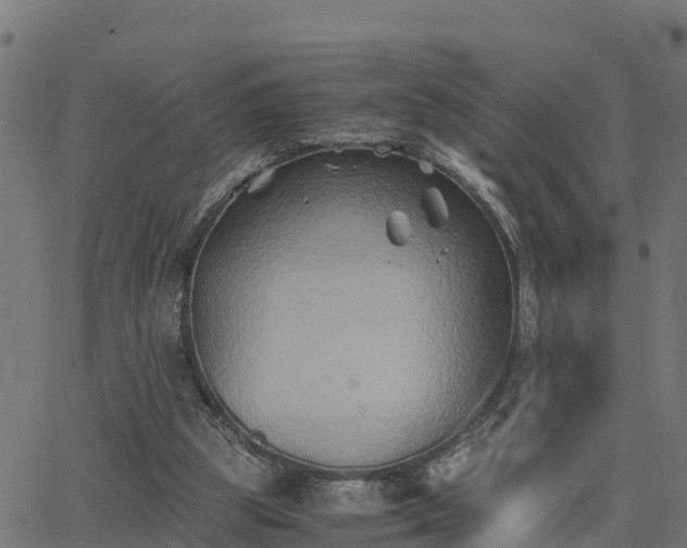 X0000062830153200601201621