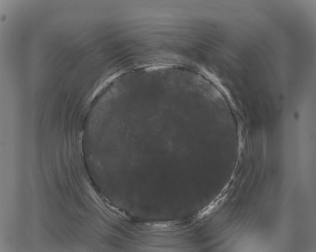 X0000062830154200601201621