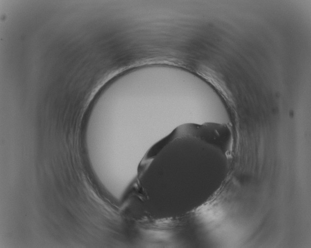 X0000062830156200601201621