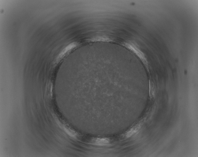 X0000062830157200601201621