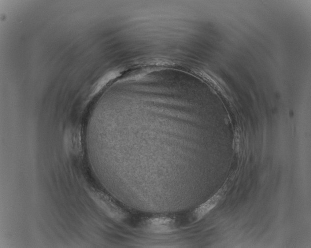 X0000062830158200601201621