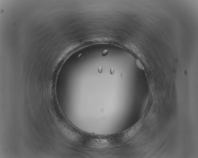 X0000062830159200601201621