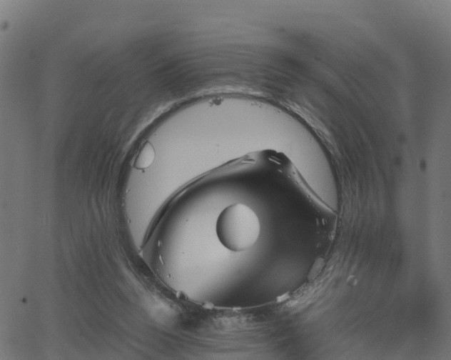 X0000062830160200601201621