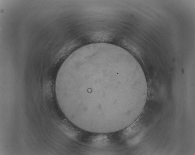 X0000062830162200601201621