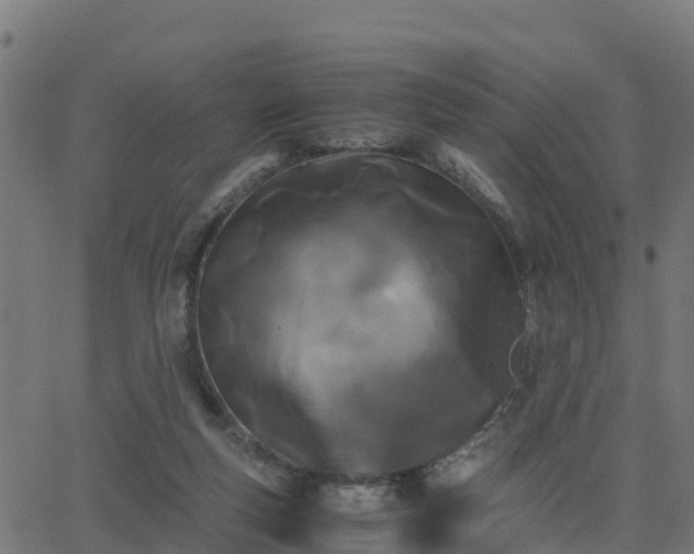 X0000062830163200601201621