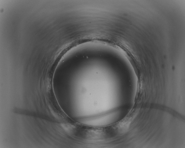 X0000062830164200601201621