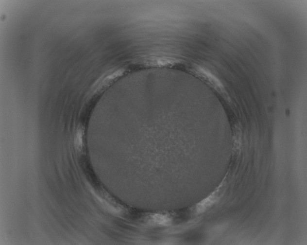 X0000062830166200601201622