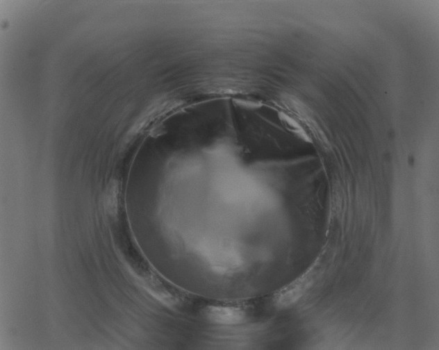 X0000062830167200601201622