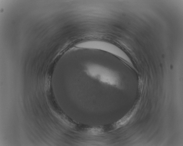 X0000062830168200601201622