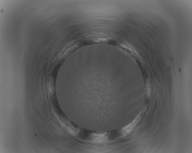 X0000062830170200601201622