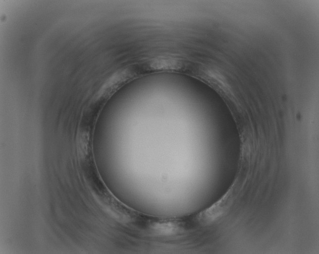 X0000062830171200601201622