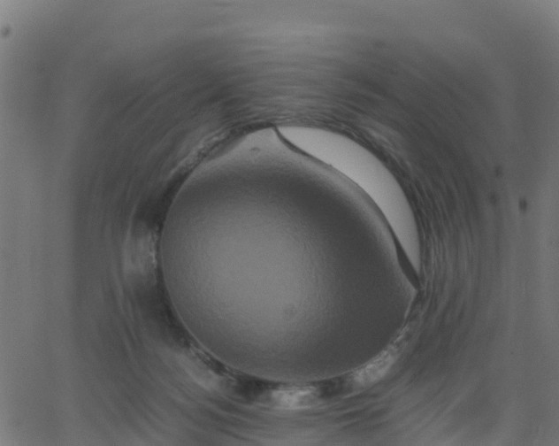 X0000062830172200601201622