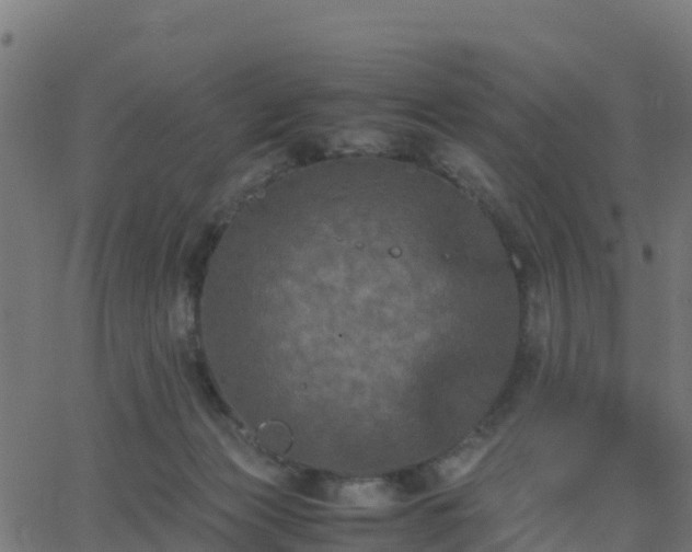 X0000062830173200601201622