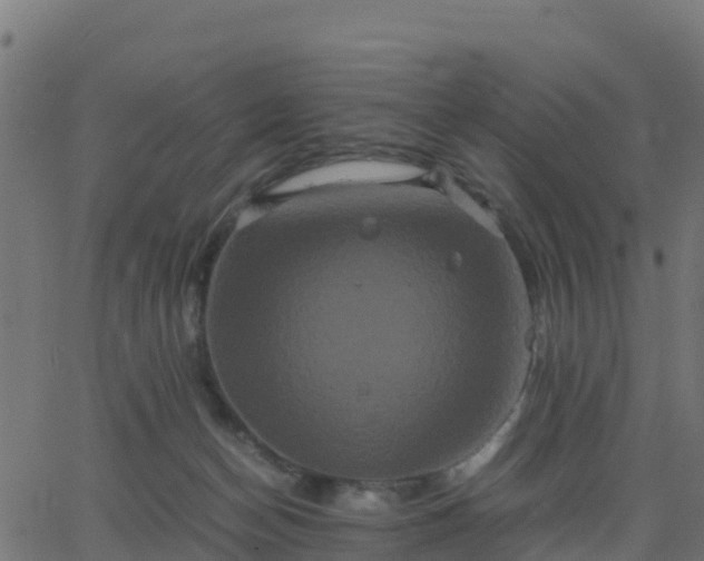 X0000062830174200601201622