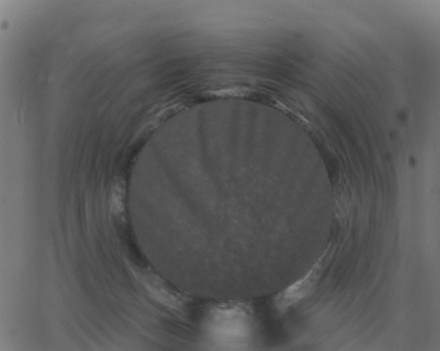 X0000062830175200601201622