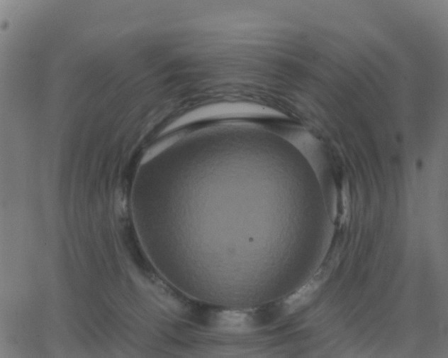 X0000062830176200601201622