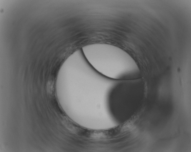 X0000062830177200601201622