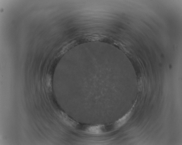 X0000062830178200601201622