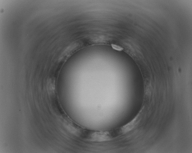 X0000062830179200601201622