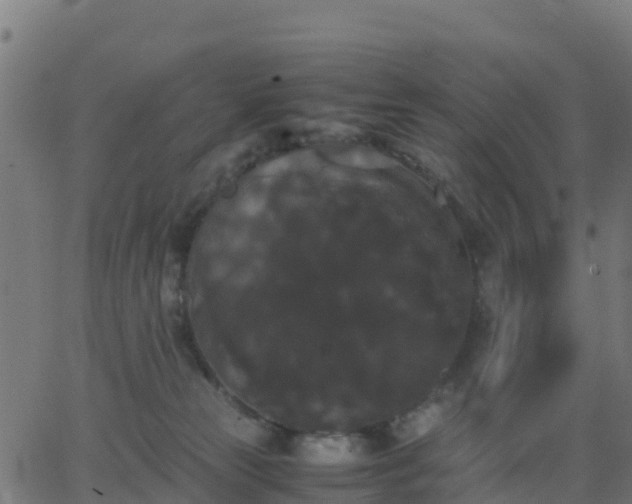 X0000062830181200601201622