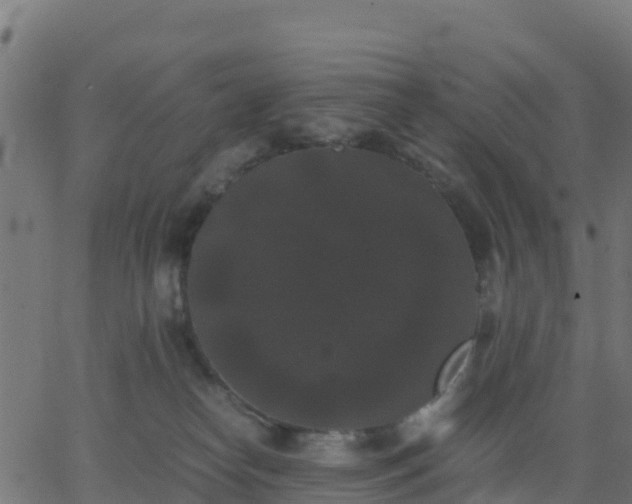 X0000062830182200601201622