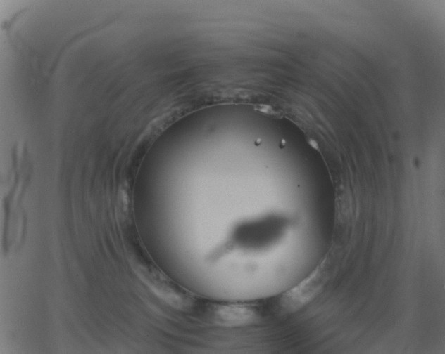 X0000062830183200601201622