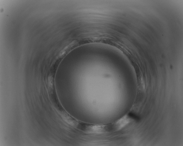 X0000062830184200601201622