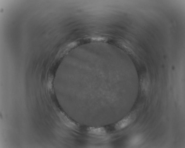 X0000062830185200601201622