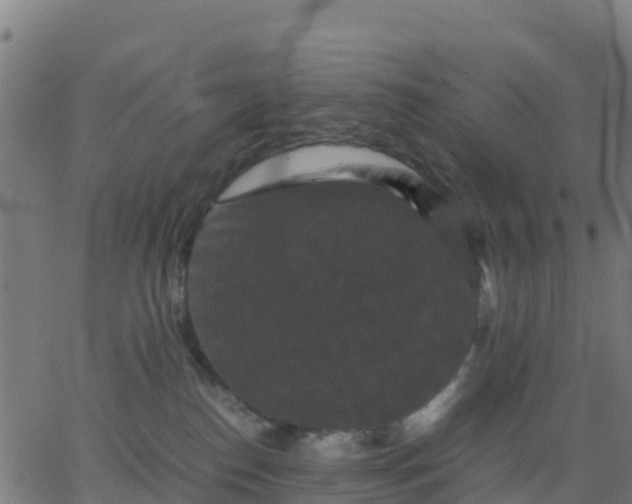 X0000062830186200601201622