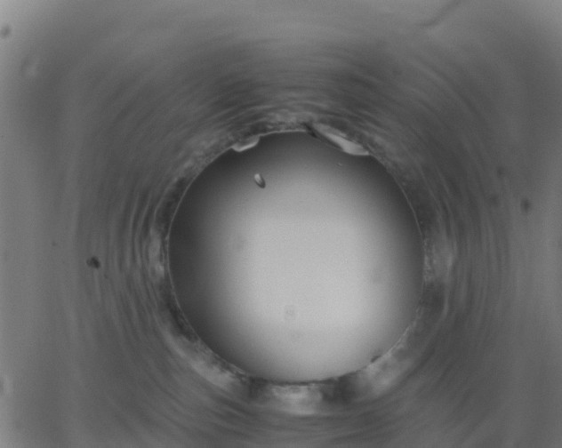 X0000062830187200601201622