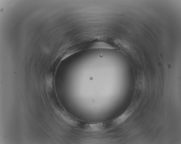 X0000062830188200601201622