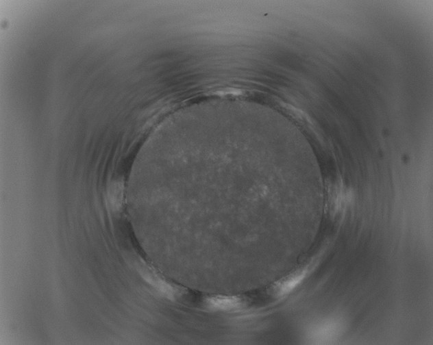 X0000062830189200601201622