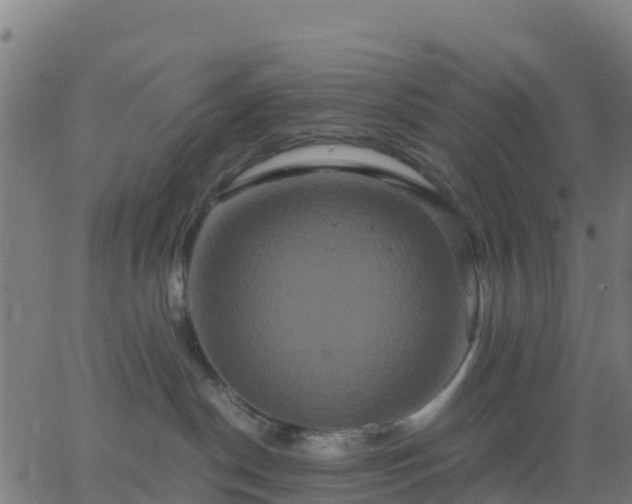 X0000062830190200601201622